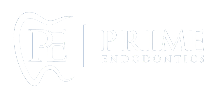 PRIME logo top white